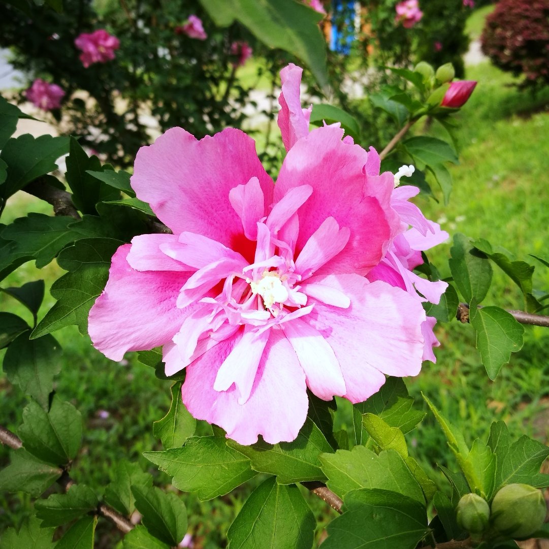 南京雨花区西善桥古筝成人学习班_南京雨花区西善桥古筝成人学习班_南京雨花区西善桥古筝成人学习班
