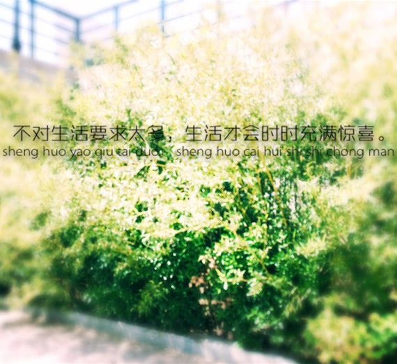 唯美类型的游戏_唯美风游戏推荐_唯美系游戏