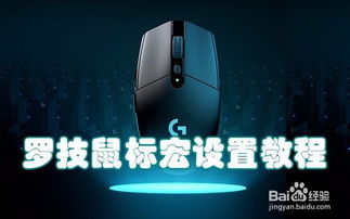 罗技宏